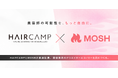 HAIRCAMPとMOSHが業務提携。美容業界のクリエイターエコノミー拡大へ。美容師の「技術・経験・情熱」が新たな価値になる
