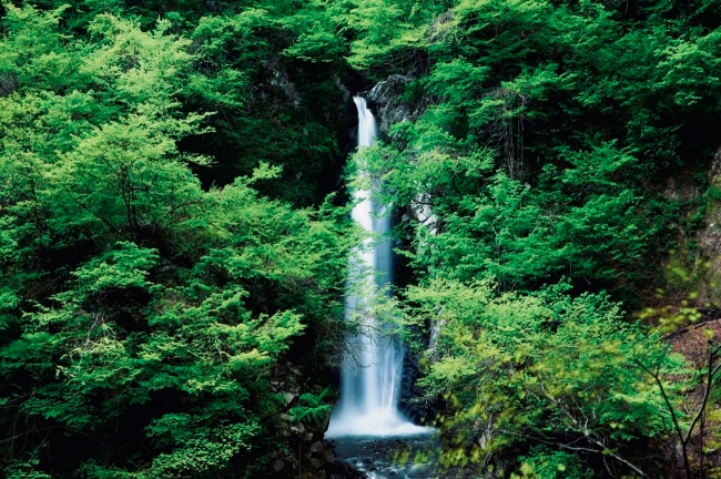 日本の滝百選にも選ばれた「大山滝」