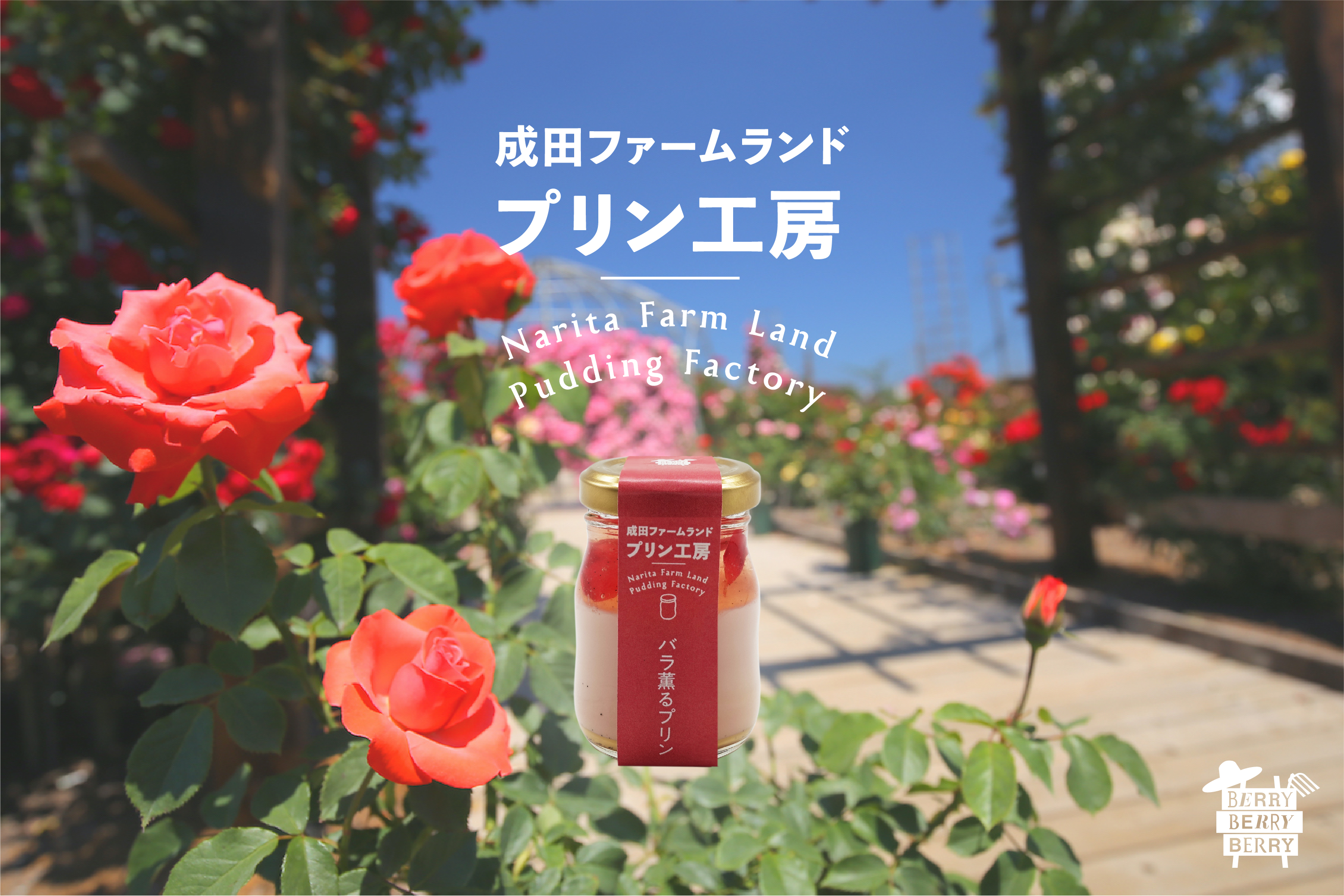 成田の観光農園が食用バラを使った バラ薫るプリン を６月２０日 土 より期間限定で発売 株式会社成田ファームランドのプレスリリース