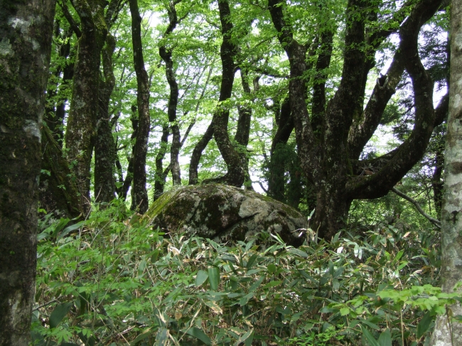 イザナミノミコトの陵墓と伝わる比婆山御陵