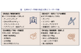 【独自調査】駿河屋やらしんばん等の進出で激変。台湾ホビー・リユース市場の裏側とB2B参入機会を紐解く最新レポートを公開