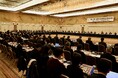 「観光立国推進協議会」「観光関係者新春交流会」を開催しました