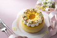 2種のクリームチーズとギリシャヨーグルトで仕上げたスフレチーズケーキが1日10個限定で新登場!東京ドームホテル開業25周年記念スペシャルスイーツ第4弾、夏らしい爽やかなケーキとマカロンを販売開始