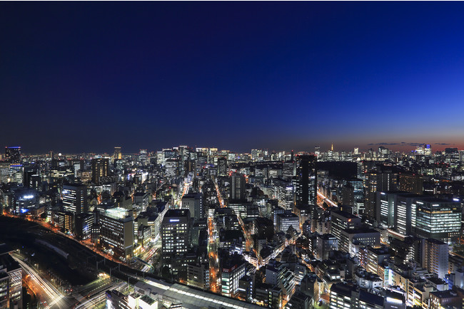 眺望：東京タワー・皇居側