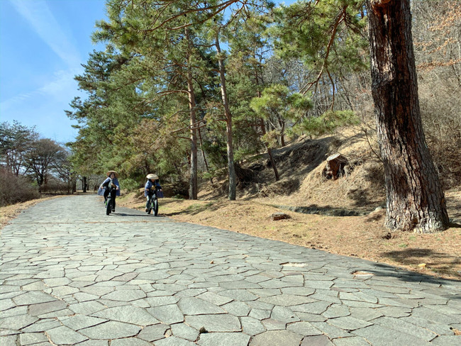 オンラインツアーで中山道の様子です。