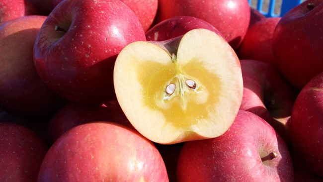 立科町で採れる、糖度の高いふじ蜜りんごです。