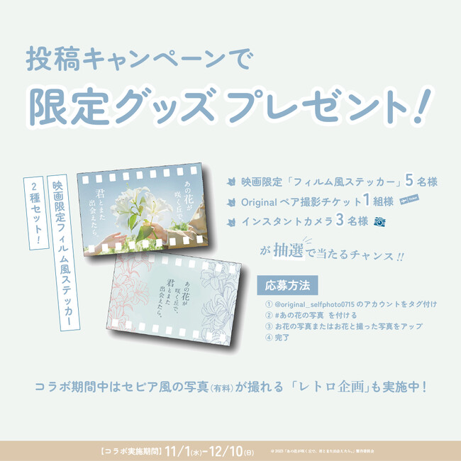 2023年12月8日（金）公開映画「あの花が咲く丘で、君とまた出会えたら