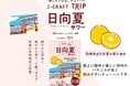 人気旅行ガイドブック「ことりっぷ」コラボ 「旅したくなる」チューハイ「J-CRAFT TRIP 日向夏サワー 再発売」宮崎県産「日向夏」の果汁を使用