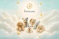 「人を探すのではなく、偶然に出会う。」匿名Webサービス「Fortune」ベータ版を公開