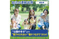 幼児の運動習慣、“公園の多さ”より“親子のふれあい”“親のつながり”がカギ