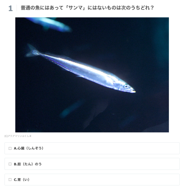 日替わりクイズで魚にくわしくなろう 小中学生向けポータルサイト 学研キッズネット で アクアマリンふくしま キッズネット館 を公開中 株式会社ワン パブリッシングのプレスリリース