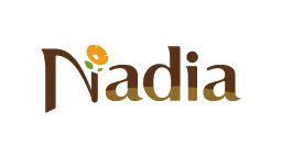 コロナ禍において3割を超える人が料理を作る頻度 が上がり レシピサイトの人気上昇 月間2 000万人が利用しているレシピサイト Nadia の公式レシピ本 予約受付中 株式会社ワン パブリッシングのプレス リリース