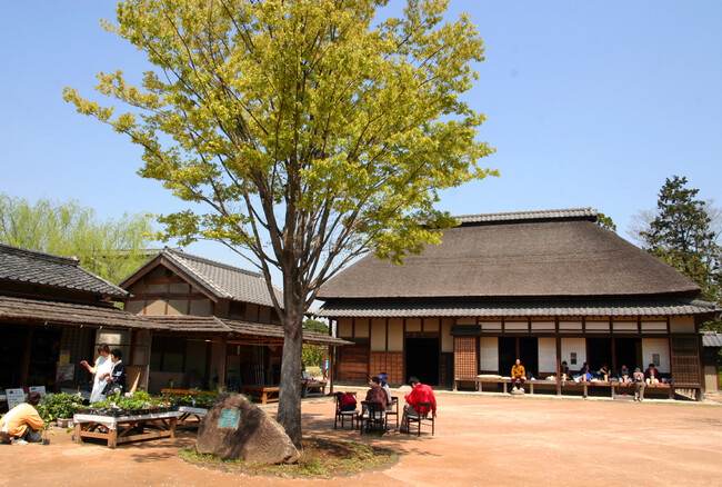 埼玉県富士見市市長
