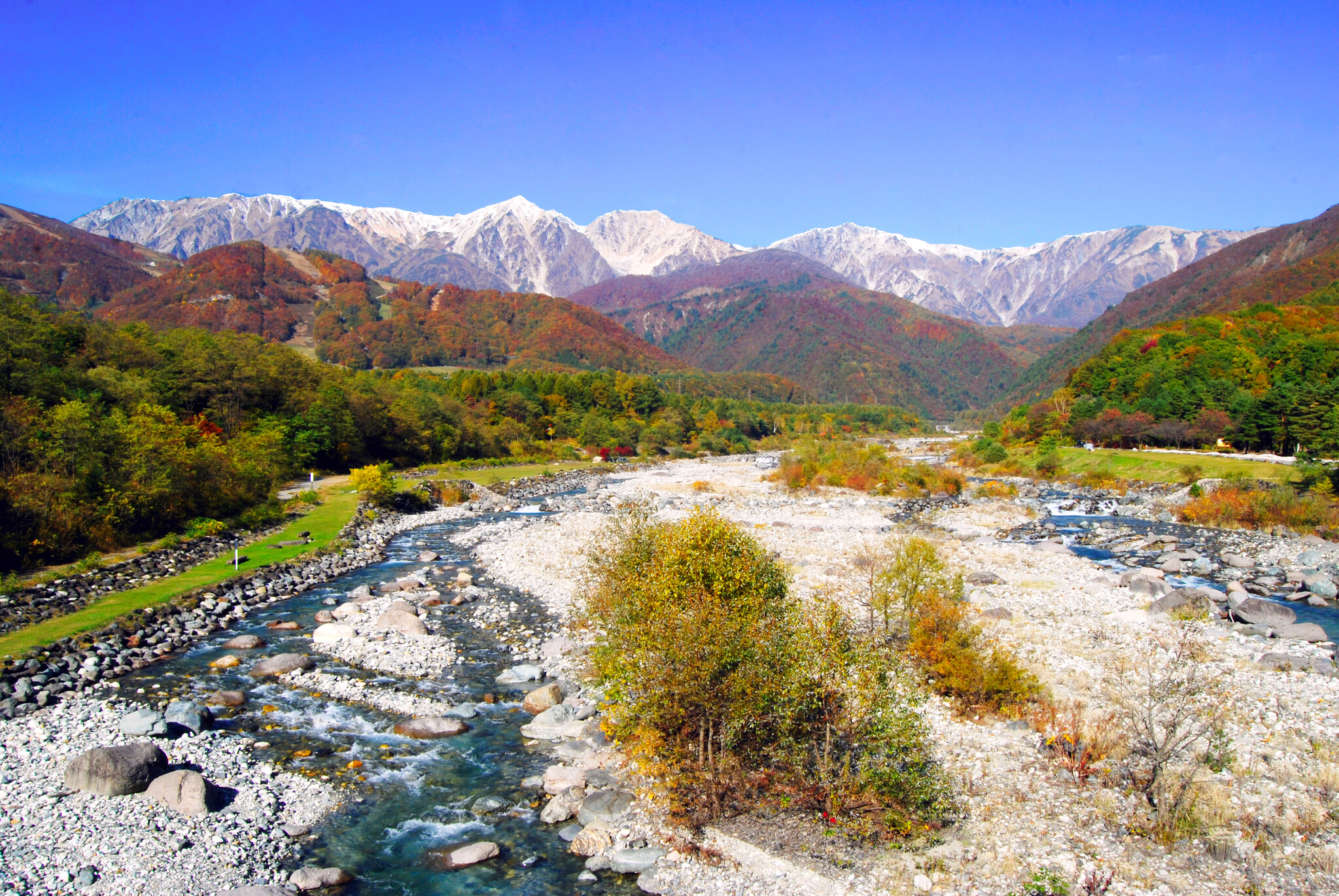 ひと足早く色づき始まる白馬村の紅葉！まもなく見頃に！｜一般