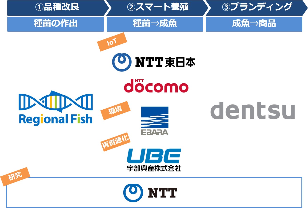 超高速の品種改良 スマート養殖スタートアップのリージョナルフィッシュ 6社とのオープンイノベーションにより事業化を加速 J Startup Kansaiにも選定 リージョナルフィッシュ株式会社のプレスリリース