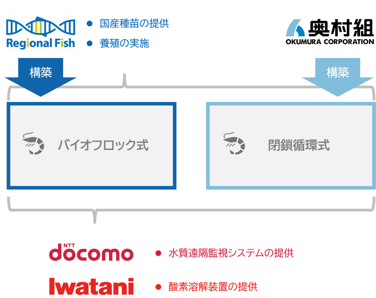 バナメイエビの スマート養殖 最適パッケージ化の実証試験を開始 リージョナルフィッシュ株式会社のプレスリリース