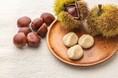 恵那の秋を五感で堪能！老舗和菓子店「良平堂」が「栗拾い体験2026」と自作の味を楽しめる「栗きんとん絞り体験」で、見て・拾って・味わう秋旅体験を提供