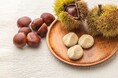 【岐阜・恵那】老舗和菓子店「良平堂」が栗カフェで『栗きんとん搾り体験』を開始~秋限定!旅先で楽しむ和栗スイーツ体験~