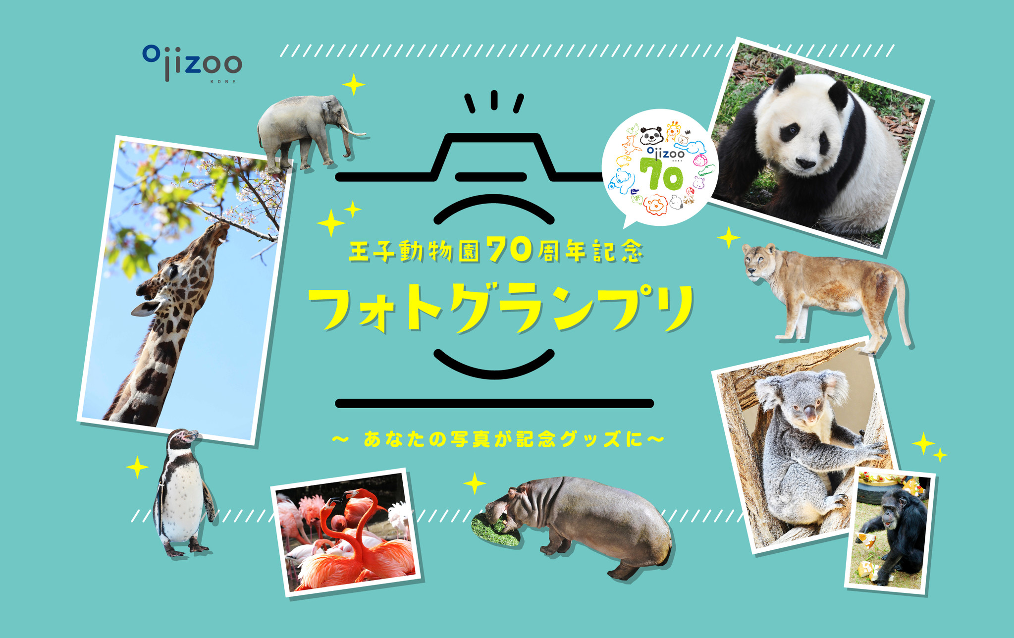 王子動物園 70周年記念★タンタン   クッション★パンダ