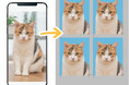 スマホで証明写真「FreeDPE」料金改定のお知らせ