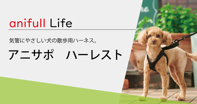 気管にやさしい犬の散歩用ハーネス アニサポ ハーレスト を発売 Zdnet Japan