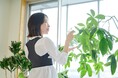 海外向け仕様から改良！「bonbone 姿勢すらっと薄軽サポーター」日本市場に本格登場