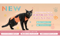 愛猫の術後をサポート！anifull「キズぐちエプロン猫用」新発売