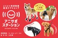 株式会社anifull、約200アイテムを取り揃えた動物用運動器総合ケアショップ「アニサポ ステーション」を2025年5月21日OPEN!