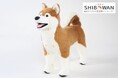 【倉敷芸術科学大学と株式会社anifullの共同開発】保定のできる犬型医療シミュレーター「しばわん」 2025年5月新発売