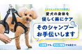 あなたと愛犬にとって心地よいトリミング時間を!安定感を高め、優しく支える「ケアサポートホルダー」で、ケア時間が「好き」に変わる。6月25日よりMakuakeにて先行発売中!