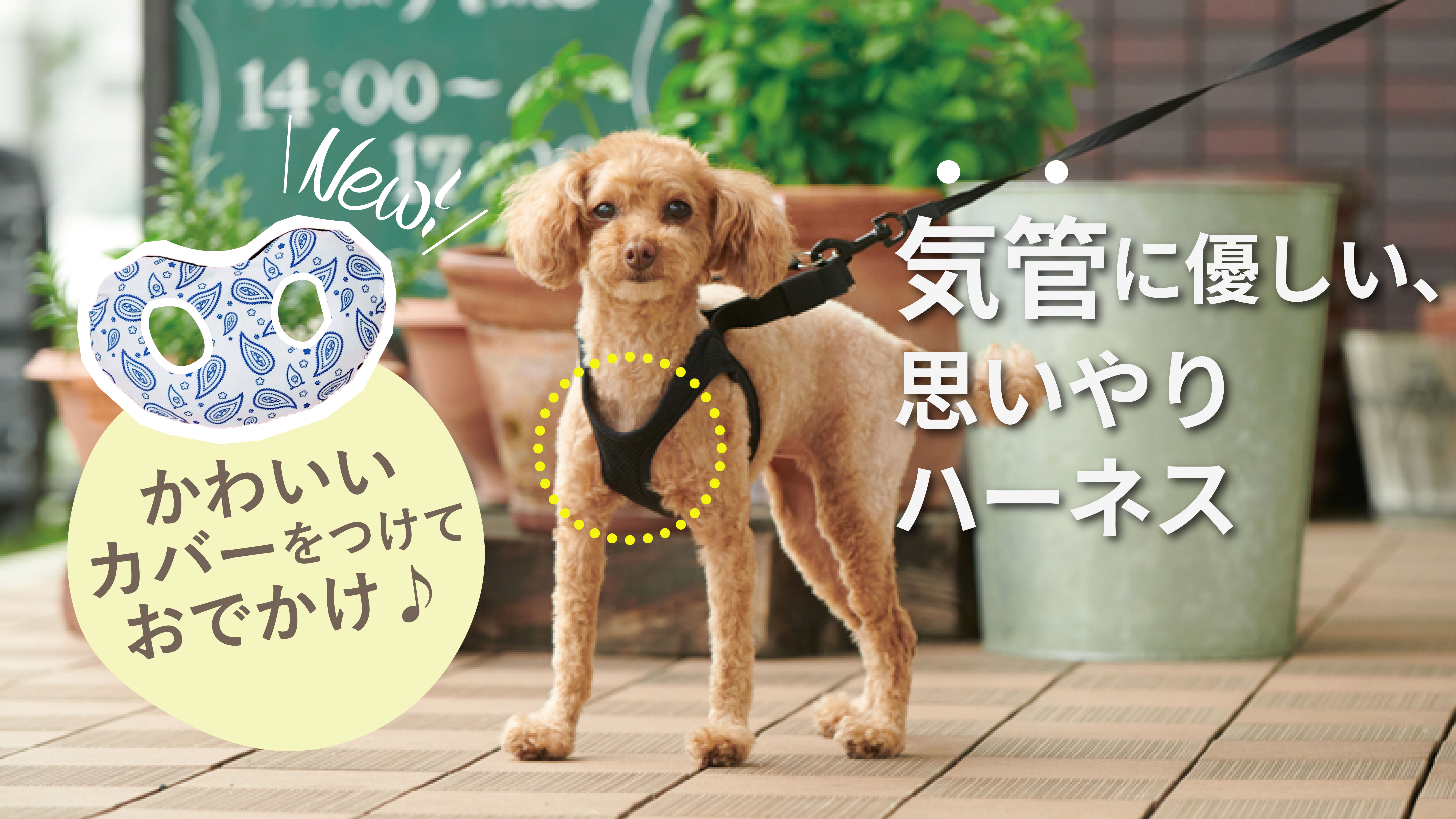 愛犬の「ゴホゴホ」が気になる！気管に優しいハーネス+専用カバー