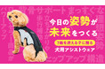 【累計17年の声から進化！】シニア犬の「姿勢と歩行」を支えるアシストウェアがMakuakeに登場！