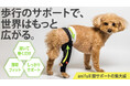 "あれ、歩き方変わった？"と感じる飼い主さまへ。小型犬のための膝サポーター「アニサポ ニーフィット」がMakuakeに登場！