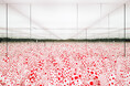 【ルイ·ヴィトン】エスパス ルイ·ヴィトン大阪にて7月16日より草間彌生の展覧会「INFINITY - SELECTED WORKS FROM THE COLLECTION」を開催
