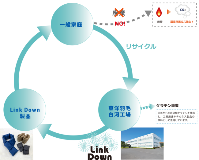 リサイクル羽毛「Link Down」の循環図