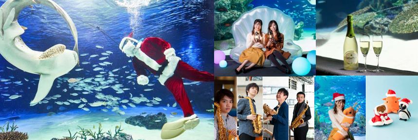 サンシャイン水族館を貸切 女性限定 海のクリスマスパーティ 募集開始 Ozmall サンシャイン女子道のコラボイベント12月18日 水 開催 スターツ出版株式会社のプレスリリース