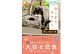 猫がおともする「大切な記憶」&和風あやかしファンタジー「スターツ出版文庫」新刊４作品　9月28日（月）発売