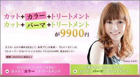 カット カラーorパーマ トリートメント 9900円 特集スタート スターツ出版株式会社のプレスリリース