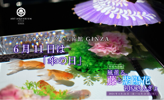 雨の日も金魚アート鑑賞を楽しむ　アートアクアリウム美術館 GINZA 「傘の日」演出　金魚が和傘で雨宿り?!