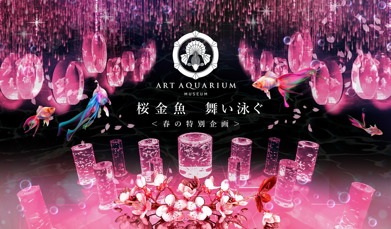 アートアクアリウム美術館 3月6日 春の特別企画 桜金魚 舞い泳ぐ 開催 アートアクアリウム製作委員会のプレスリリース