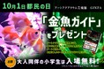【小学生以下、入場料無料!】10月1日“都民の日”は、親子でアートアクアリウム美術館へ!金魚ガイドをプレゼント