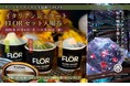 【アートアクアリウム美術館 食の秋コラボ第一弾】季節の特製ジェラートと金魚アートを楽しむ♪