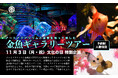11月3日文化の日 特別企画 アートアクアリウム美術館 ギャラリーツアー催行