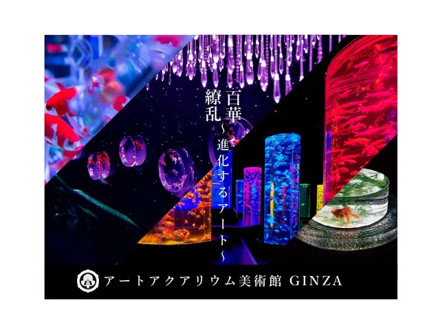アートアクアリウム美術館 Ginza 銀座三越に２０２２年５月３日誕生 アートアクアリウム製作委員会のプレスリリース