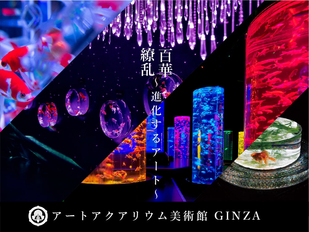 アートアクアリウム美術館 GINZAオープン記念！お得な「早割