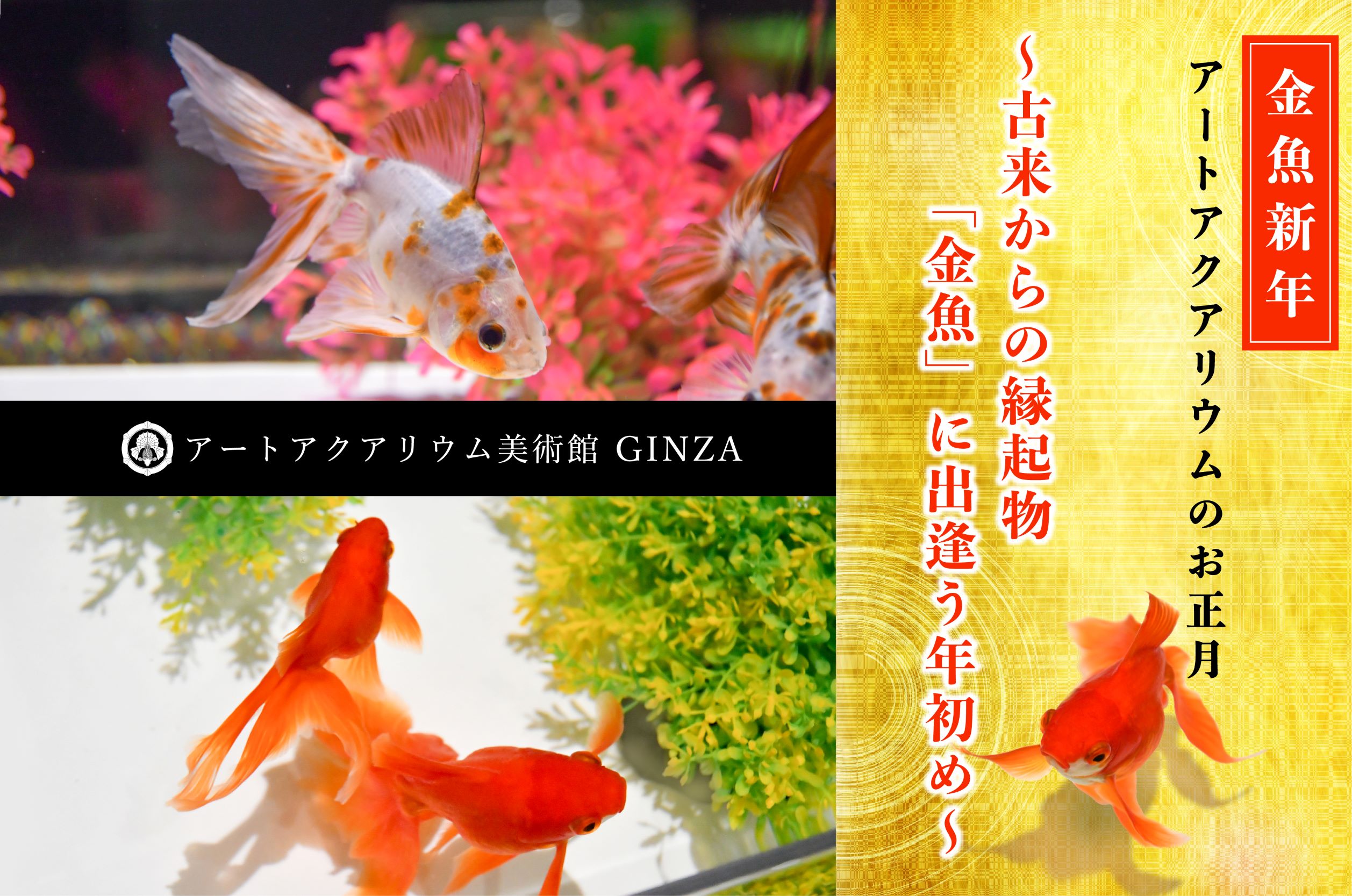 本店は アートフラワー 紅葉・もみじ タイムセール 金魚アート 紅葉