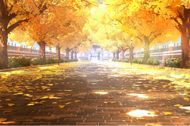 背景_並木道 背景_並木道