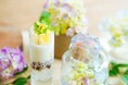 梅雨のおでかけに。森のカフェで楽しむ紫陽花スイーツ付き「森のアフタヌーンティー 初夏」が登場