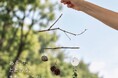 【泊まれる公園 INN THE PARK 沼津】遊んで、かえろう。大人が“遊びなおす”ための宿泊プラン「Re:Play」始動