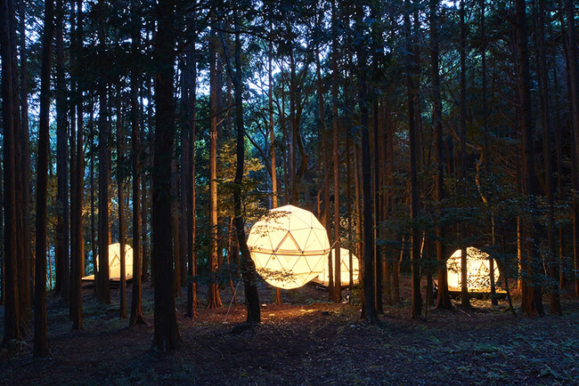 夜の森に浮かぶ球体テント